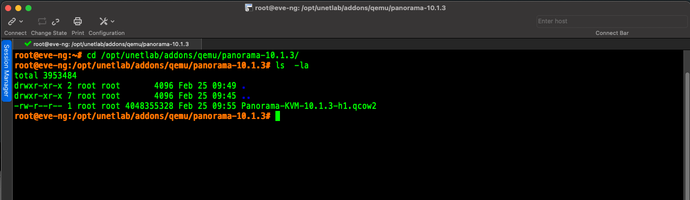 Deploying a Panorama KVM image to use with EVE-NG